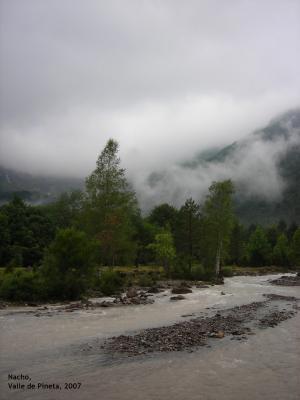 VALLE DE PINETA.